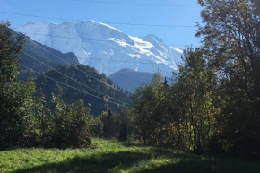 Appartement lumineux et cosy en rez de jardin Saint-Gervais-Les-Bains